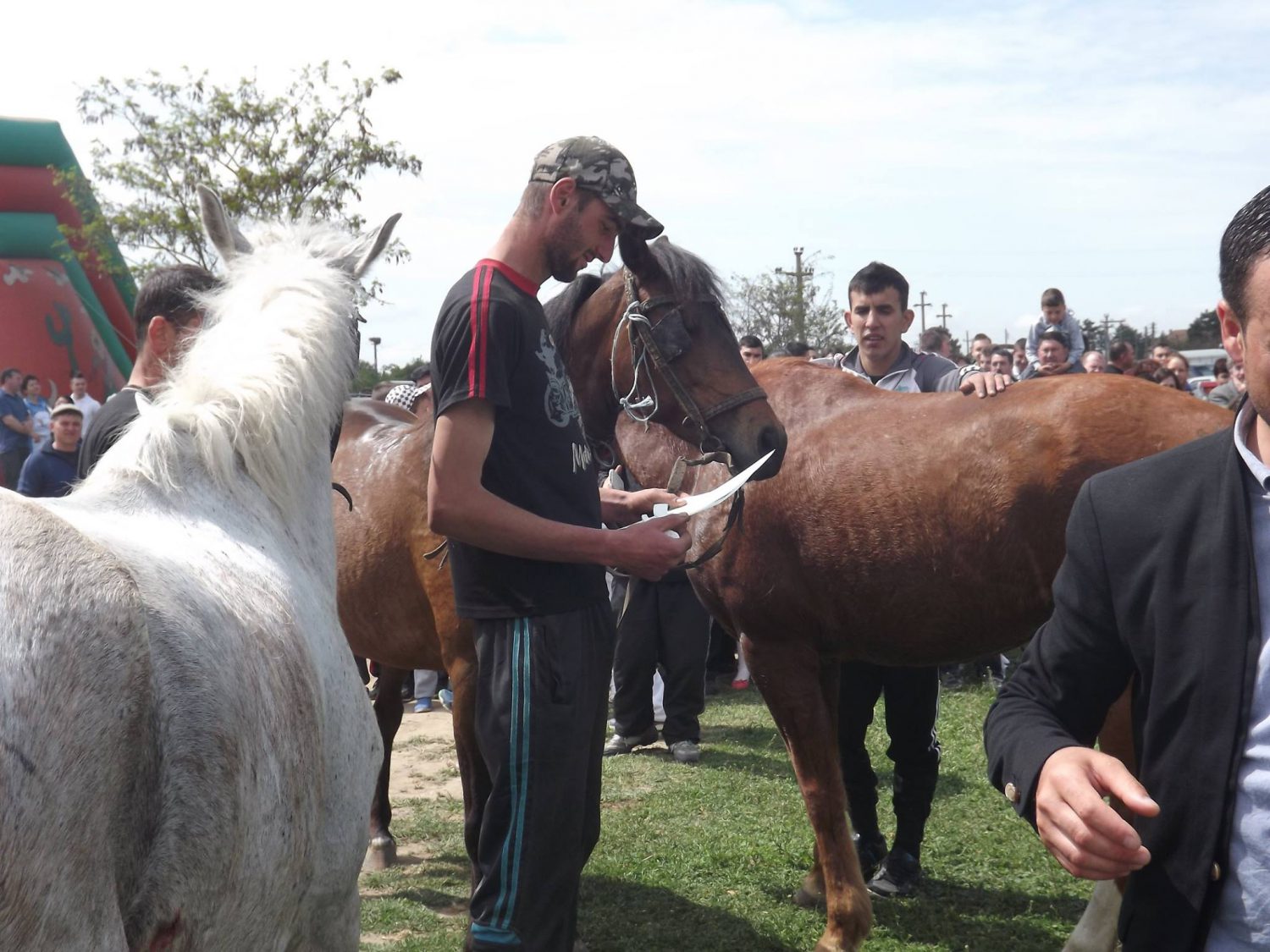 COȘIA – Curse de cai la Cerna, Tulcea