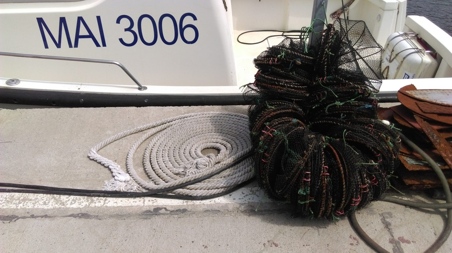 FOTO: Braconierii apelează la toate metodele – Cuşti de pescuit descoperite în Marea Neagră