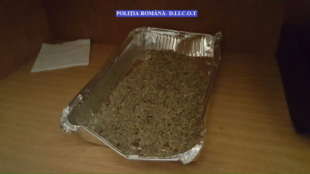 Foto – BRĂILA, GALAȚI. Traficanți de droguri, REȚINUȚI