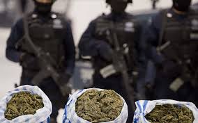 Rețea de traficanți de droguri, DESTRUCTURATĂ! Un kilogram de cannabis, confiscat