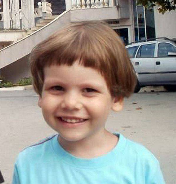 Proprietarul terenului unde a fost ucis de câini copilul Ionuț Anghel, condamnat la 3 ani de închisoare cu executare