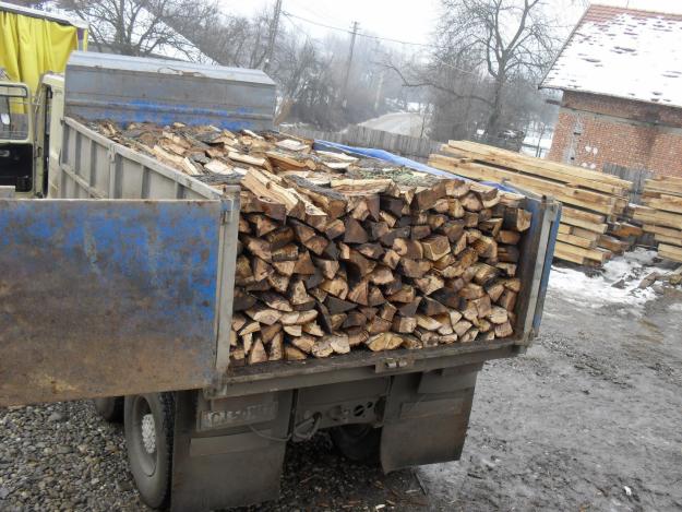 TULCEA: ,,Scutul Pădurii”. Zeci de metri cubi de lemne fără acte legale