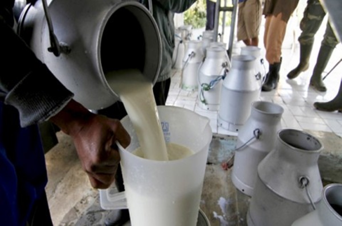 De luni, producătorii din industria laptelui și produselor lactate vor putea depune cereri pentru ajutorul destinat fermierilor din acest sector