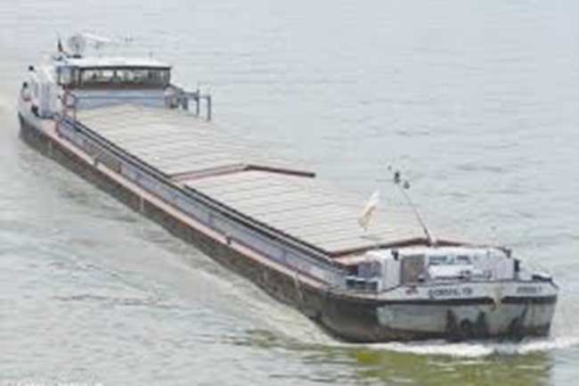 Accident fluvial în Golful Cerna al Dunării