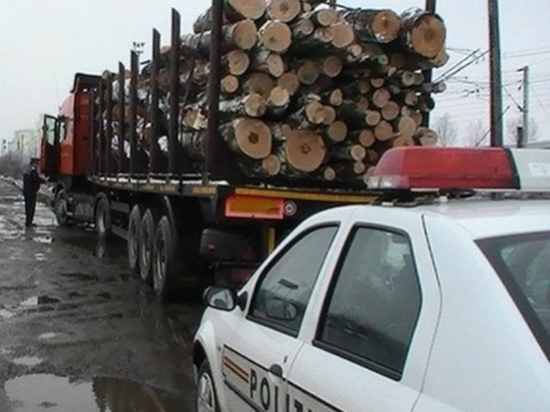 TULCEA: Transportau material lemnos fără să dețină documente