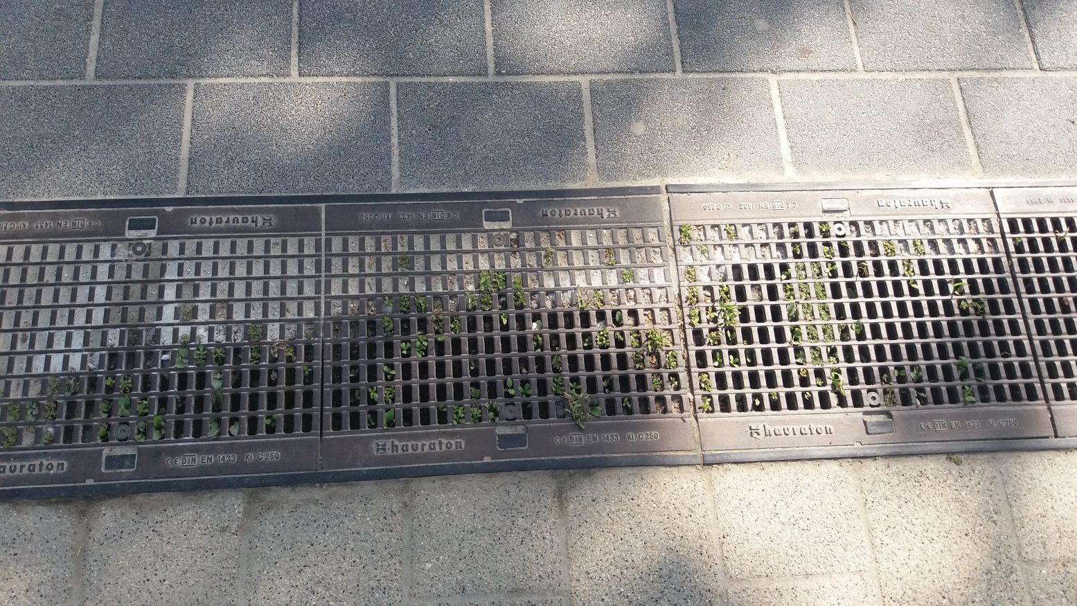 MAMAIA/FOTO: De ce se inundă promenada stațiunii? Autoritățile nu știu, dar promit că problema se va rezolva