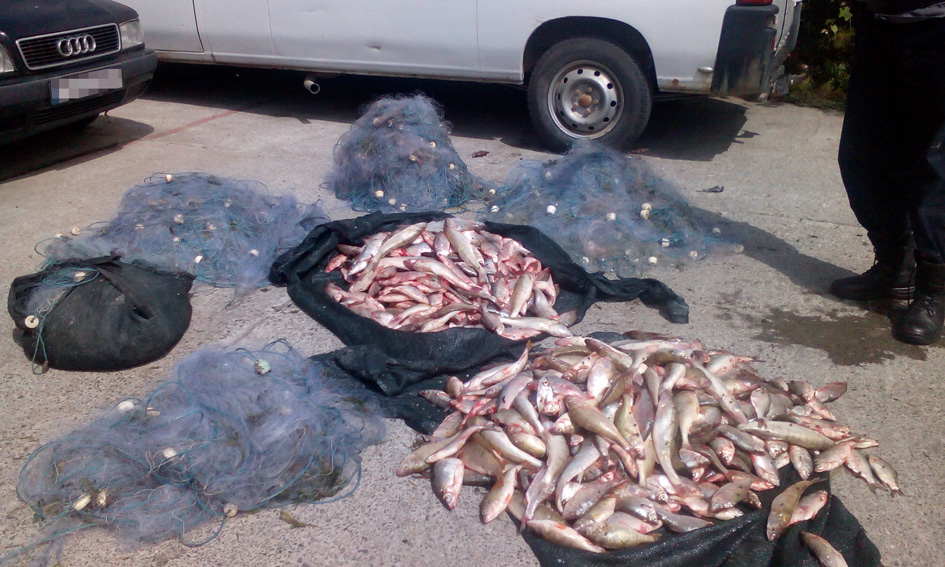 TULCEA: Polițiștii de frontieră au confiscat aproape 100 de kilograme de pește