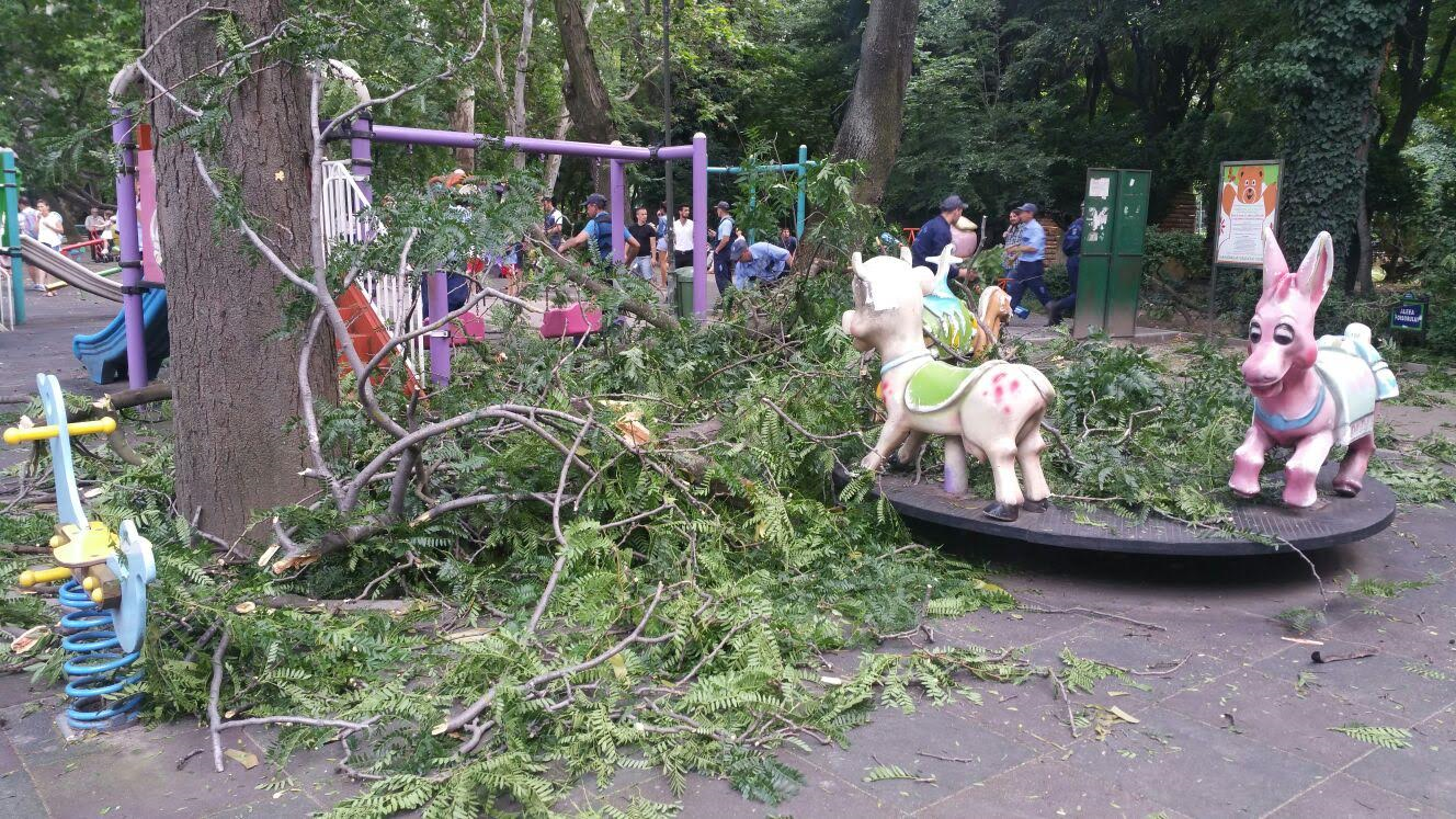 FOTO: Doi adulți și patru copii – răniți în Parcul Cișmigiu din Capitală