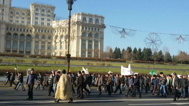 Crescătorii de ovine și bovine protestează în Capitală