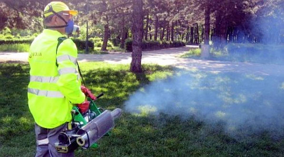 MEDGIDIA: Aviz persoanelor care au animale de companie. Acțiune de dezinsecție în parcuri