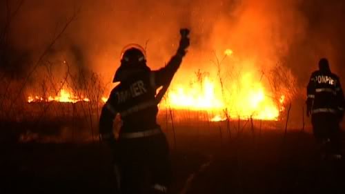 A luat foc câmpul la ISTRIA!
