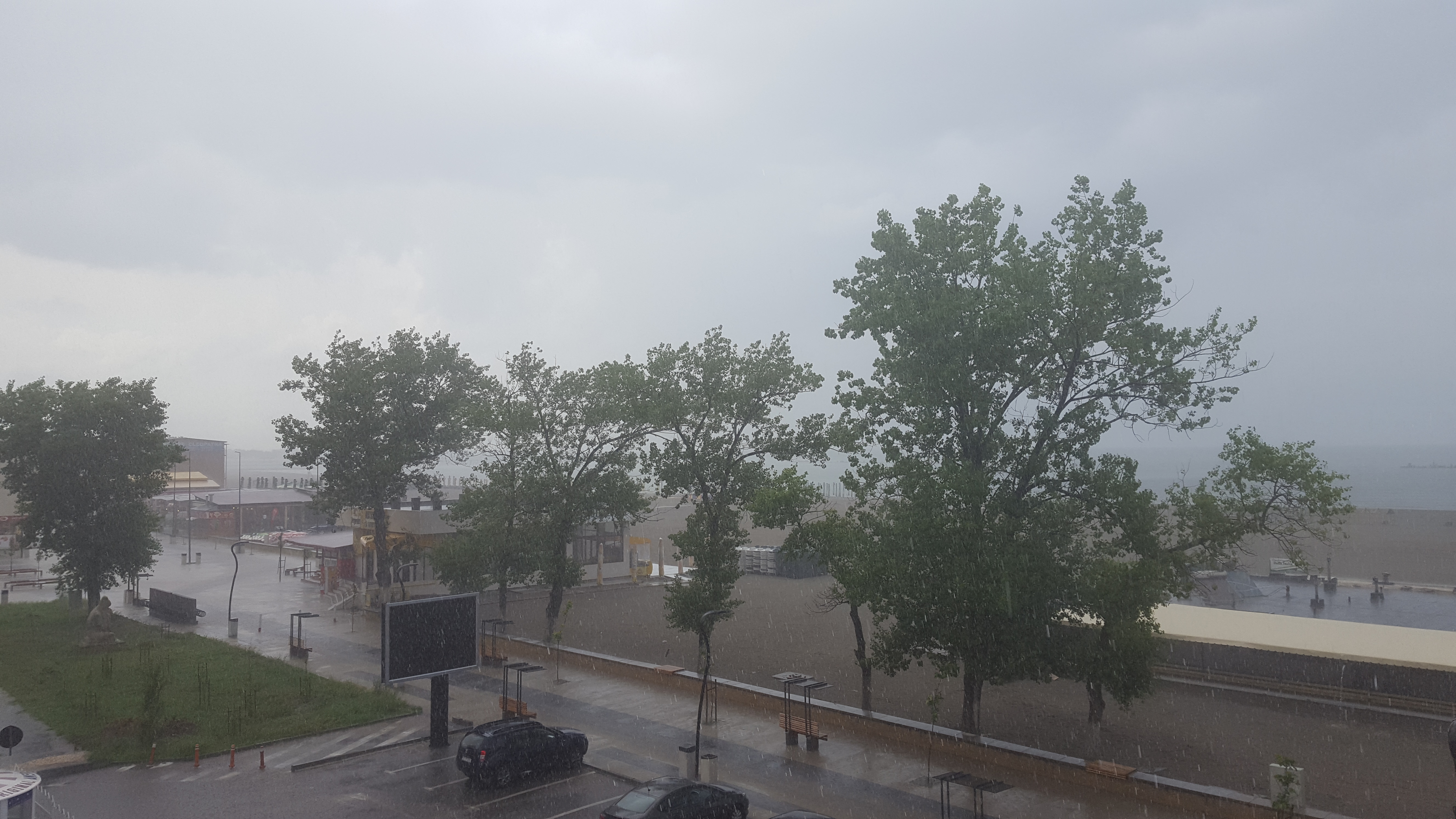 FOTO/MAMAIA: NATURA DEZLĂNȚUITĂ