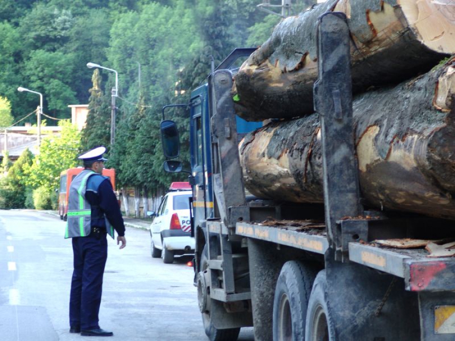 TULCEA: Material lemnos confiscat de polițiști