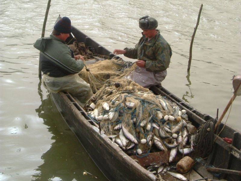 TULCEA: Prelungire a valabilităţii actelor pentru pescuit comercial