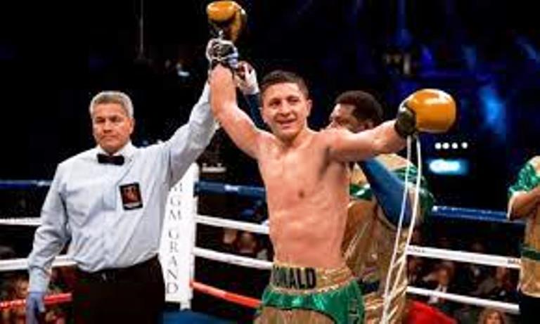 Boxerii profesioniști vor putea participa la JO 2016