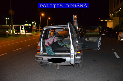 Foto – BRAȘOV. Cu ursul în portbagaj!
