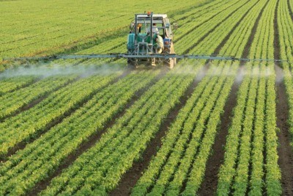 Scade taxa pe valoare adăugată în sectorul agricol