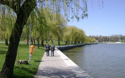 TULCEA. Calitatea apei din Lacul Ciuperca, afectată de caniculă
