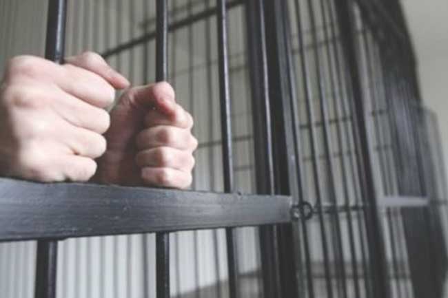 Tulcea, București, Brașov. Infractori CONDAMNAȚI, depistați de polițiști