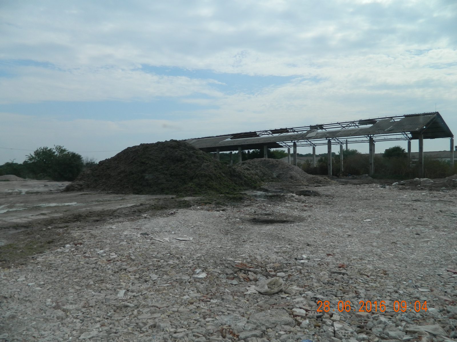 20.000 de tone de alge adunate de pe litoral