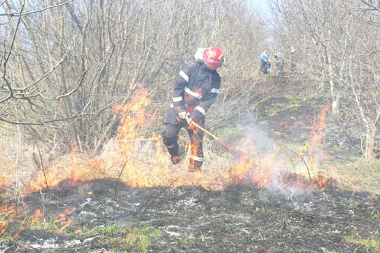Incendiu lângă Sala Sporturilor din Medgidia