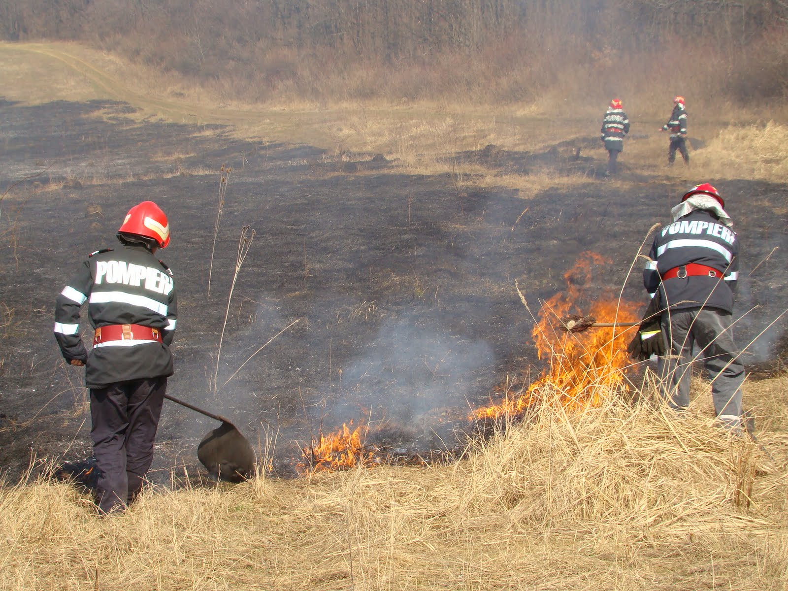 Incendiu de vegetație la Cuza Vodă
