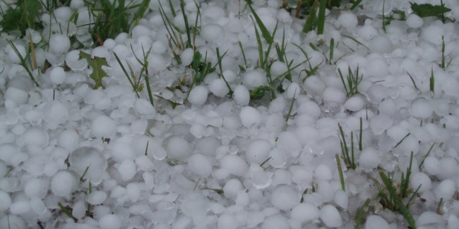 TULCEA – Grindina a făcut PAGUBE de SUTE DE MII de lei