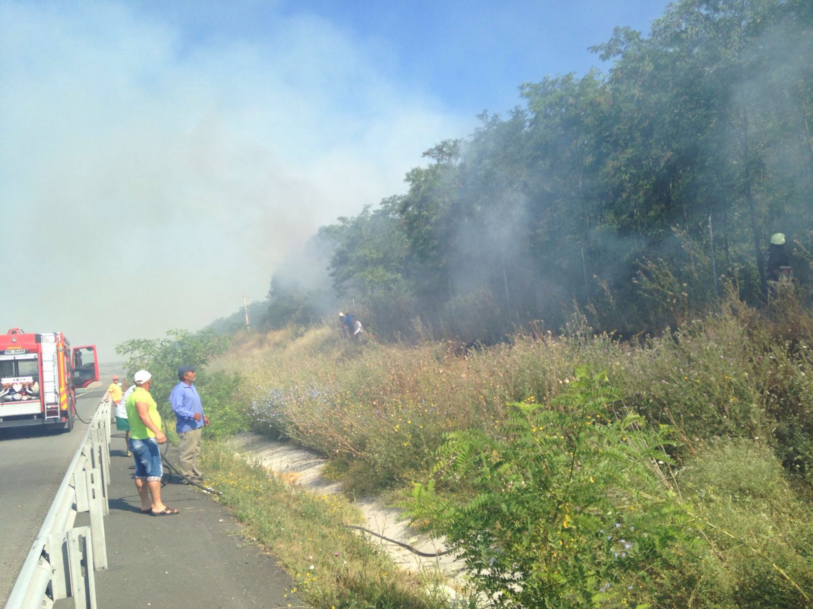 FOTO: Incendiu lângă pădurea de salcâmi de la Peștera