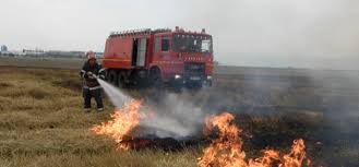 Arde miriștea la Poarta Albă!