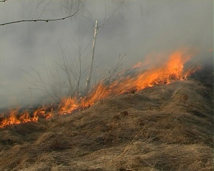 Dobrogea continuă să ia foc