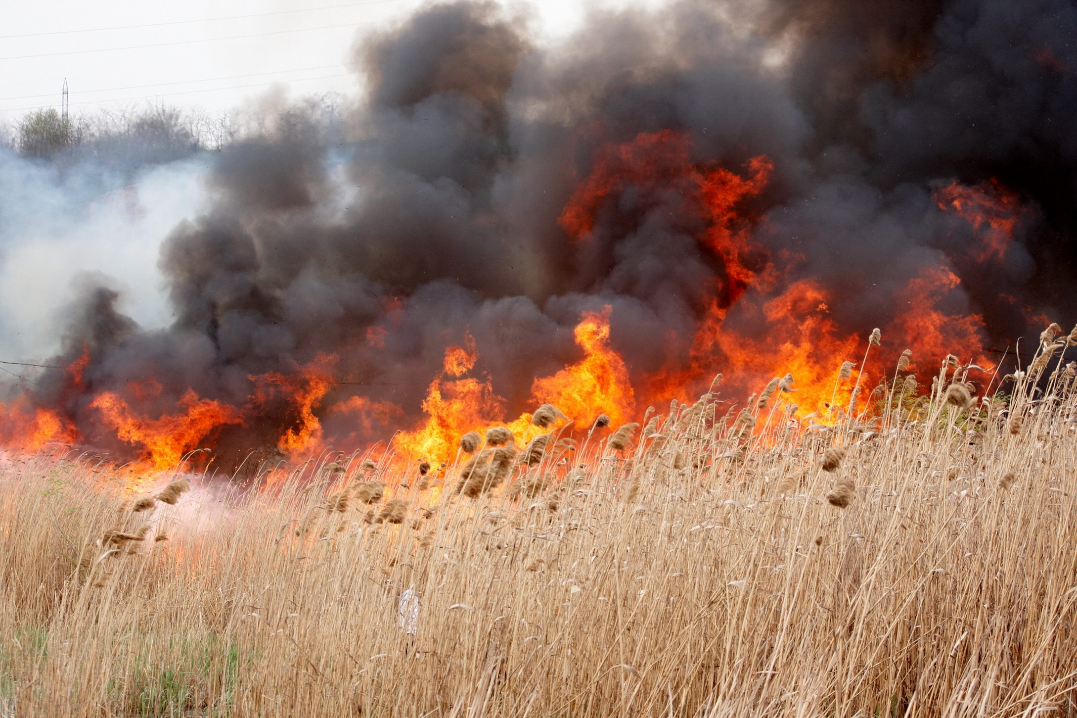 INCENDIU pe Autostrada A2