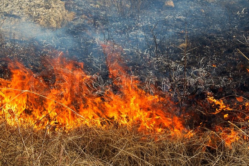 Dobrogea se aprinde. Un nou incendiu – de data aceasta, la Nisipari