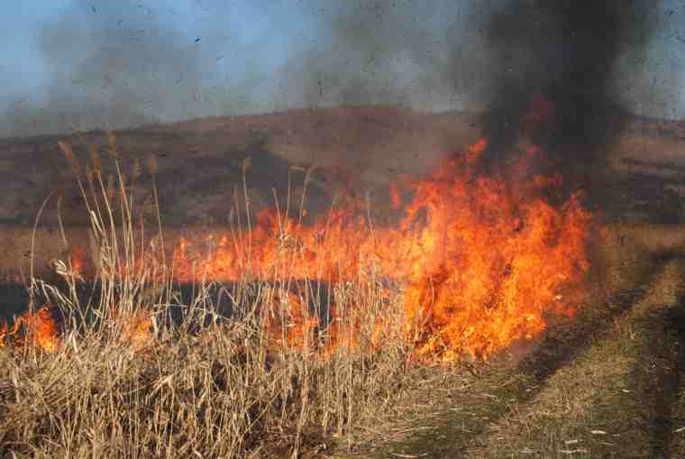 Constanța: Incendiu în apropierea unui centru comercial