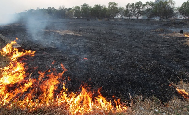 VIDEO/UPDATE – Incendii la VADU și la POARTA ALBĂ