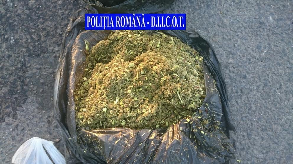 Lovitură pentru traficanții de droguri din CONSTANȚA, BACĂU și NEAMȚ