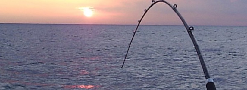 AUDIO – Pescuitul, un hobby la Mamaia