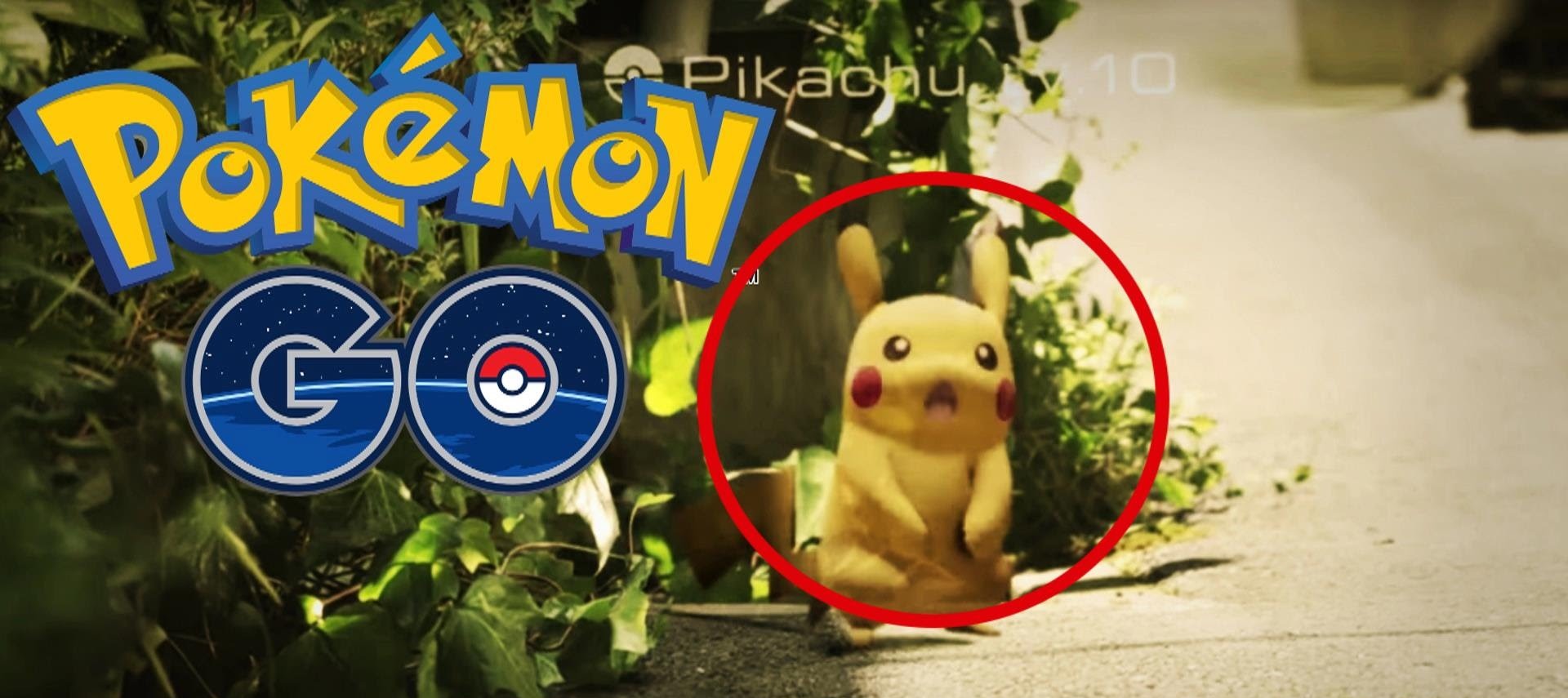 Pokemon GO HOME (?)