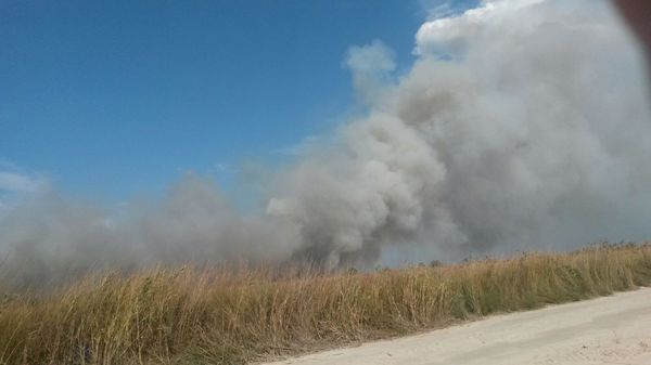 Update – CONSTANȚA. Incendiu pe plaja „3 papuci”
