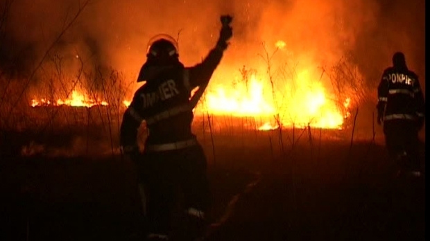MEDGIDIA. Alt incendiu de vegetație uscată