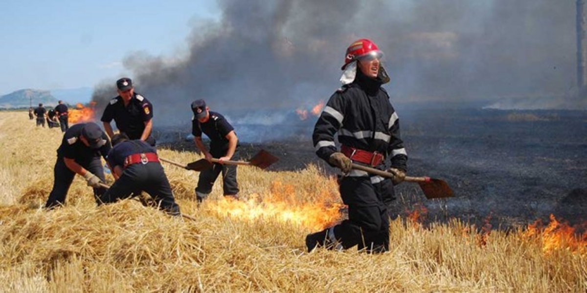 TULCEA, CONSTANȚA. Incendiile de vegetație uscată nu mai contenesc