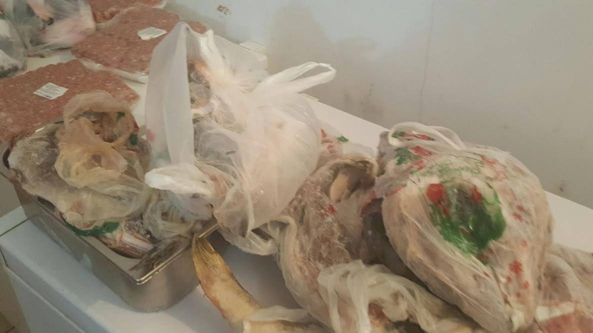 MAMAIA/FOTO: Dezastru în bucătăriile a trei restaurante. ANPC le-a închis temporar
