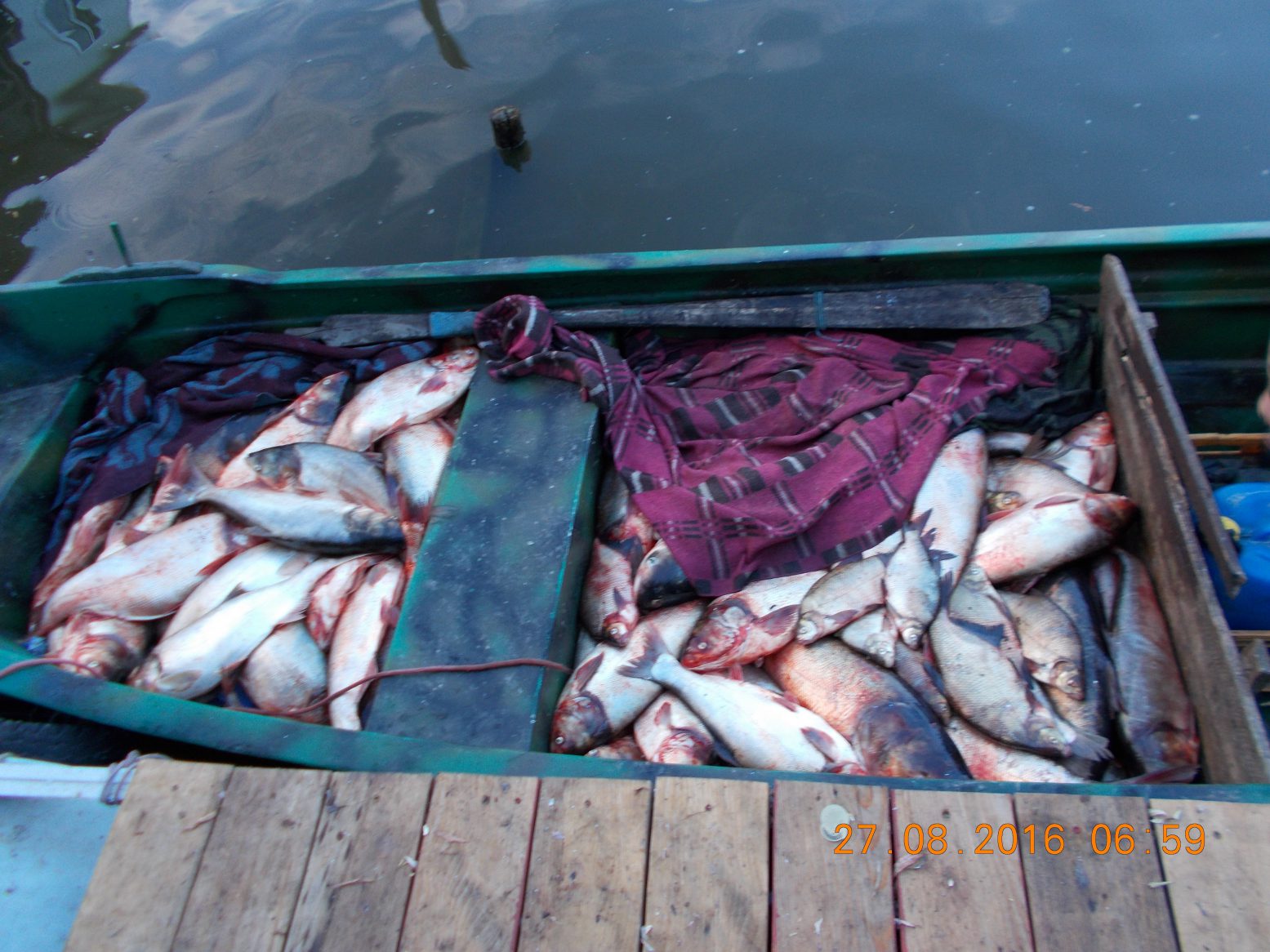 TULCEA/FOTO: Braconaj – 700 kilograme de pește dintr-o lovitură