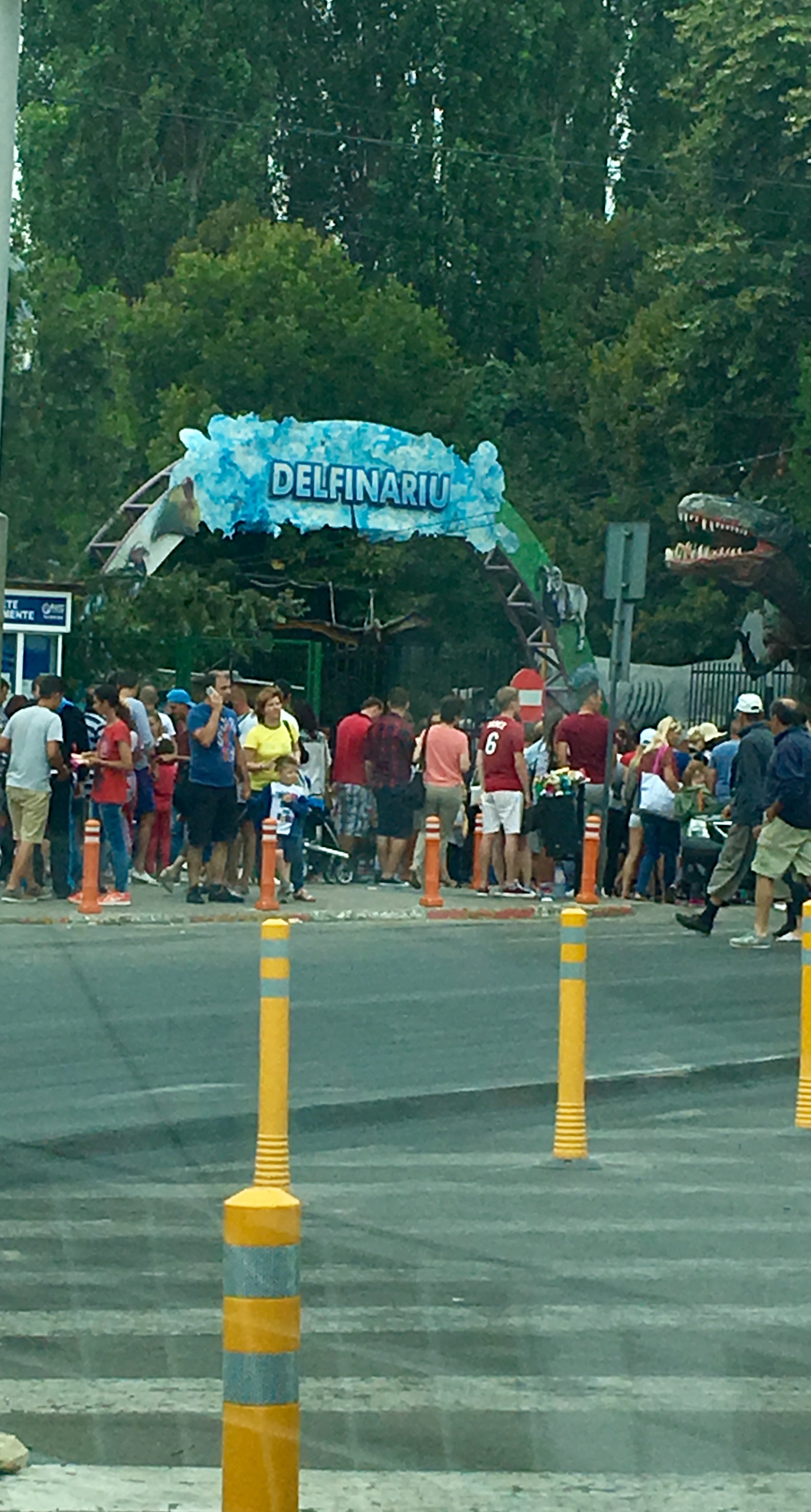 FOTO – Cozi URIAȘE la Delfinariul din Constanța