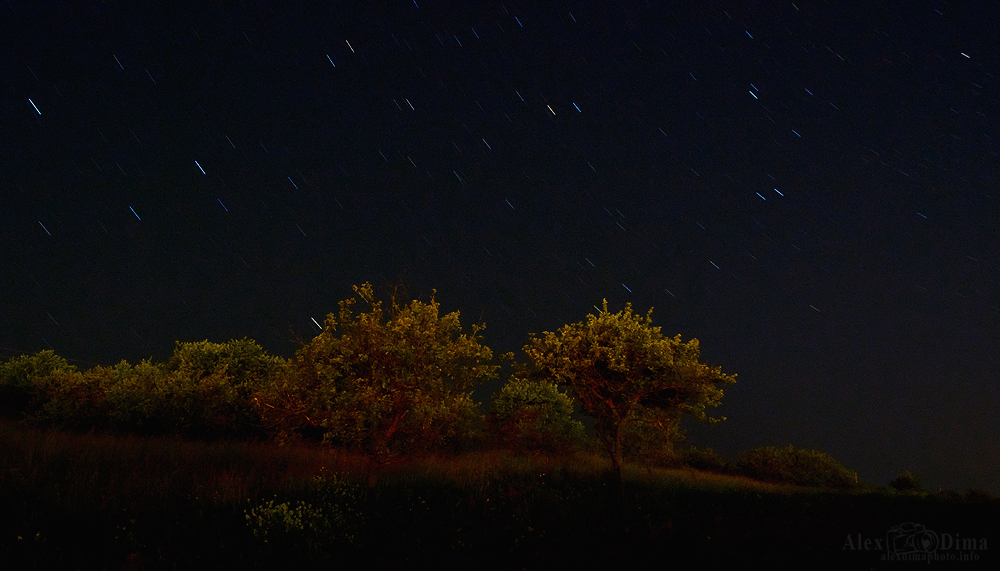 Vreme frumoasă în Dobrogea!
