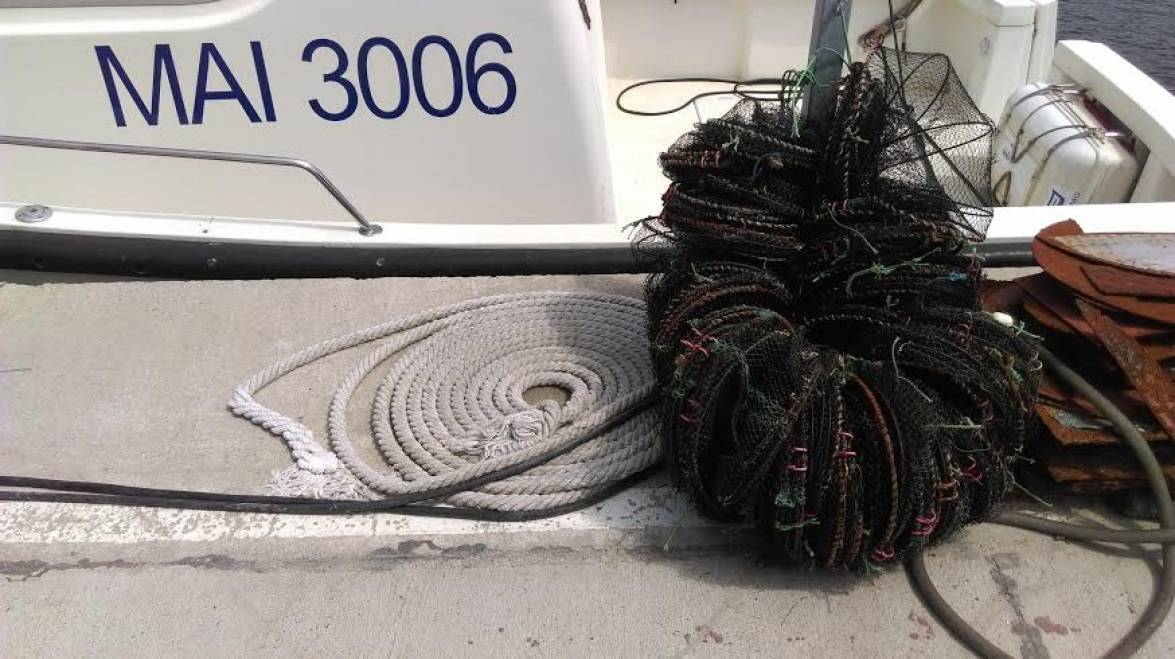 CUȘTI de pescuit găsite în Marea Neagră