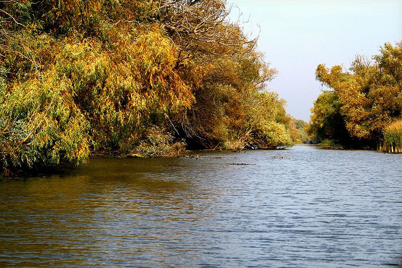 Turism ecologic în Delta Dunării