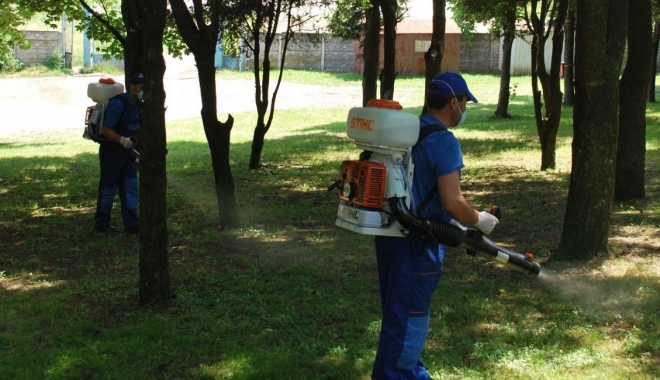 CONSTANȚA. Primăria reia acțiunile de dezinsecție