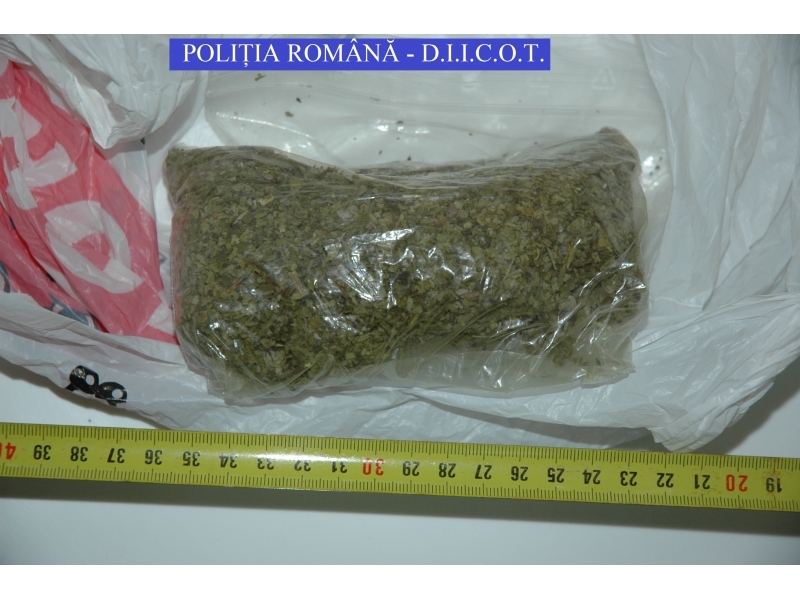 Foto – Nouă ARESTAȚI. Percheziții la traficanți de droguri din CONSTANȚA