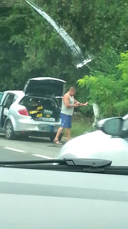 VIDEO/FOTO – Un șofer își golește gunoiul din mașină… pe marginea drumului