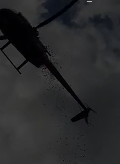 VIDEO – Petale de trandafiri, aduse cu ELICOPTERUL